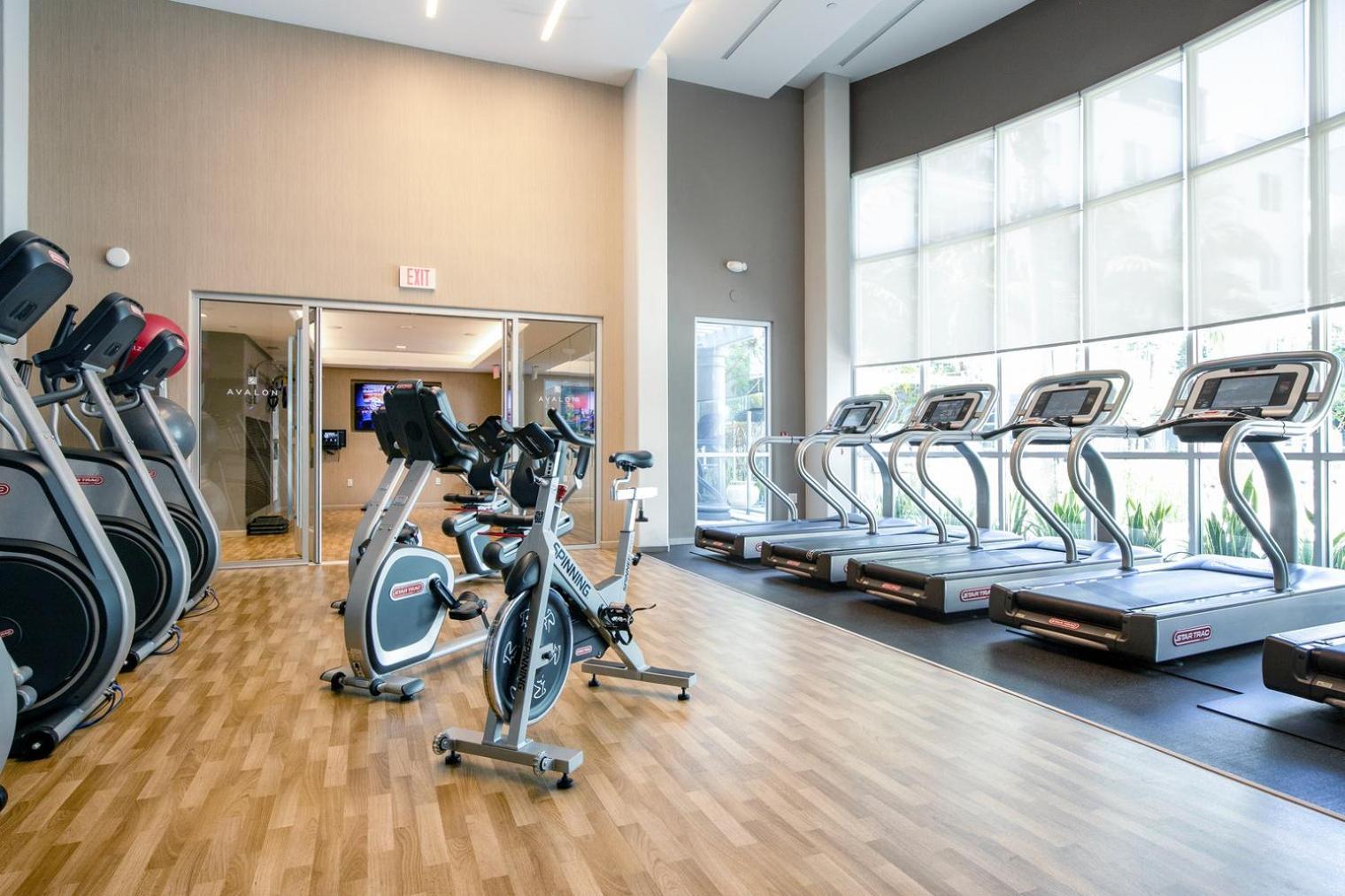 Playa Vista 1br W Gym Pool Nr Hiking Lax-648 Apartment